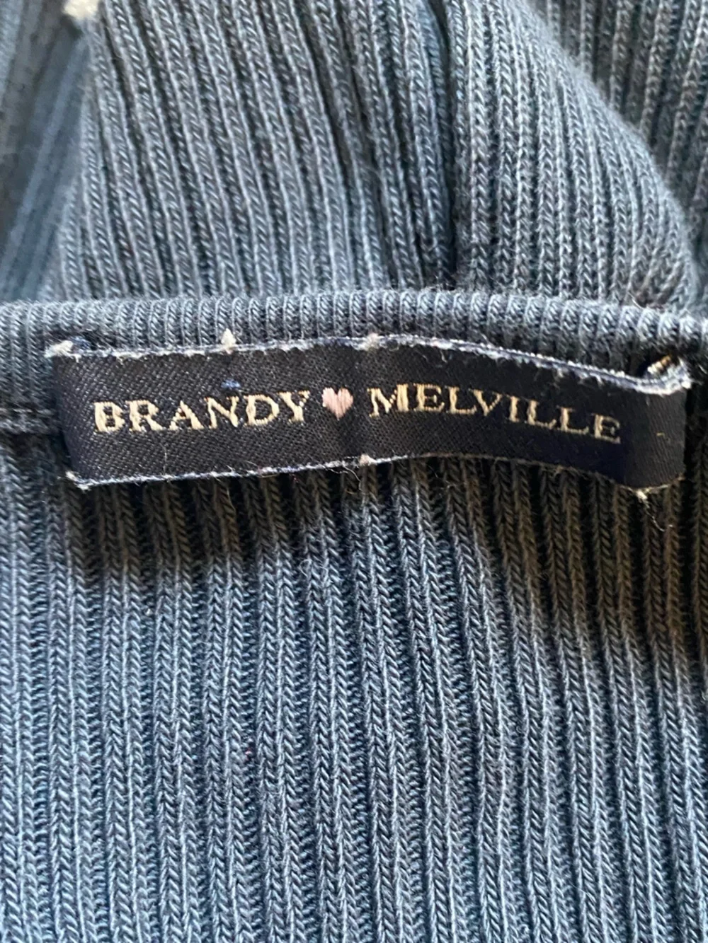 Brandy Melville Y2K Ribbed Long-Sleeve Crop Top in Slate Blue 0-4 OS